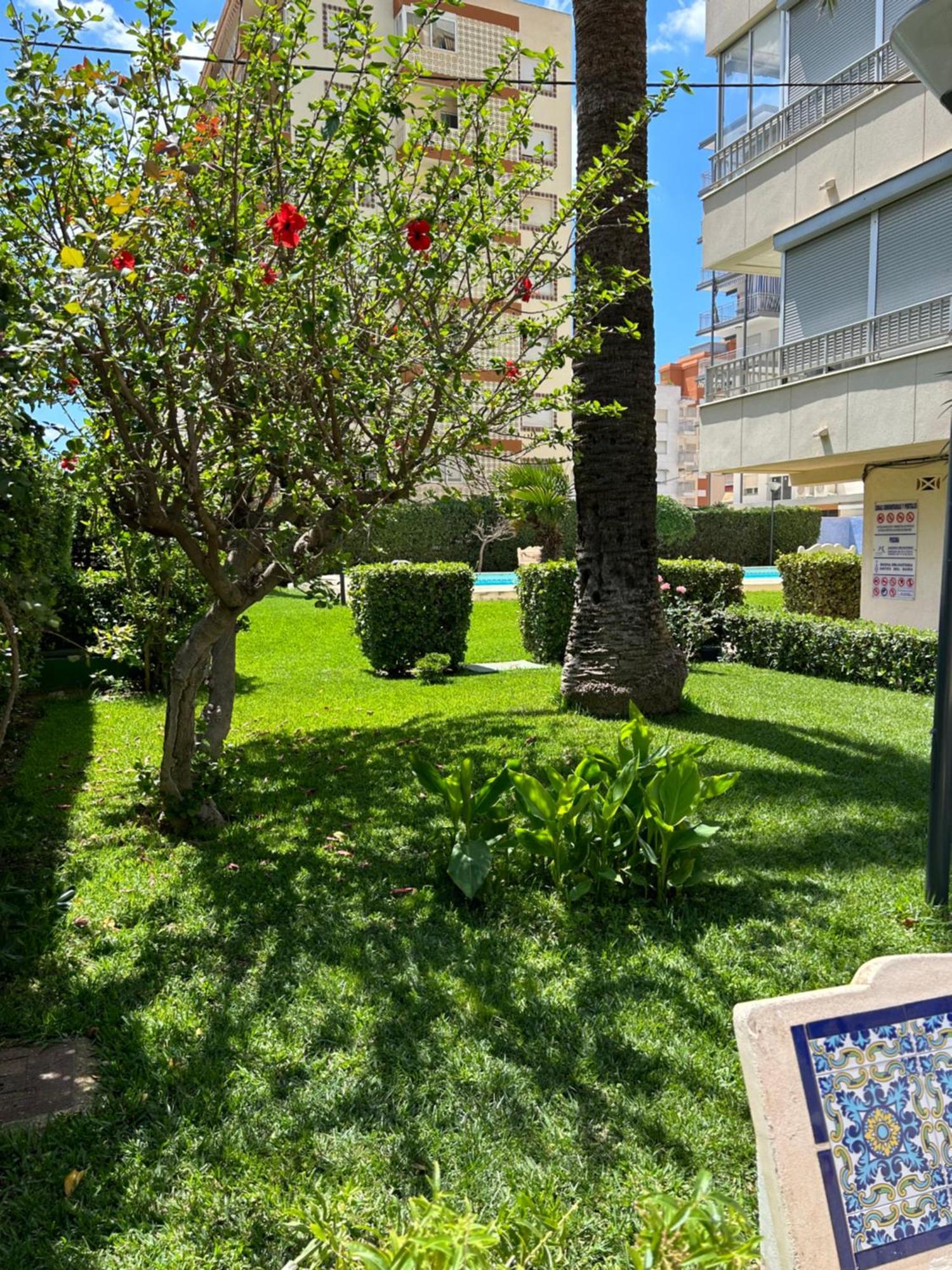 Apartamento Gandia Playa 150M Playa Con Parking Privado Y Piscina Playa de Gandia Zewnętrze zdjęcie